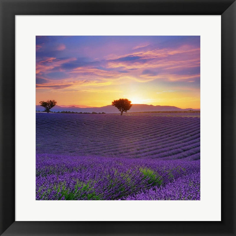 Lavender Sky Sunset by Cora Niele, Framed Art