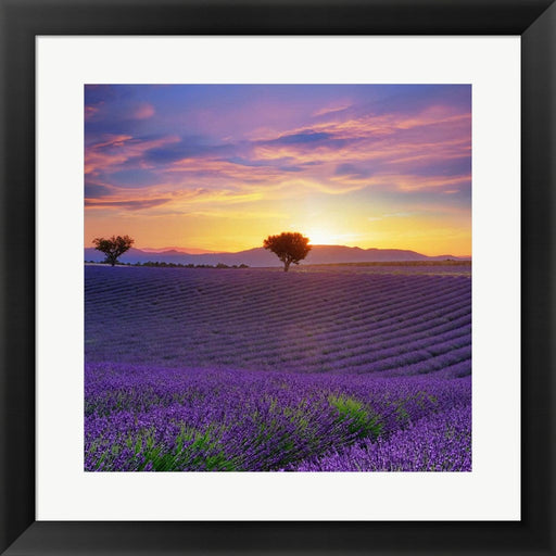 Lavender Sky Sunset by Cora Niele, Framed Art