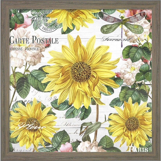 Paris Garden by Mary Jane Creative, Framed Art