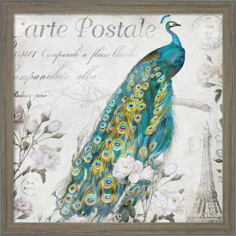 Peacock Rose by Mary Jane Creative, Framed Art