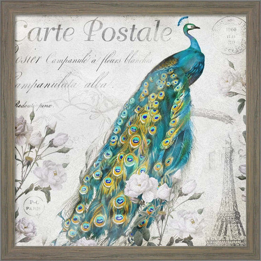 Peacock Rose by Mary Jane Creative, Framed Art
