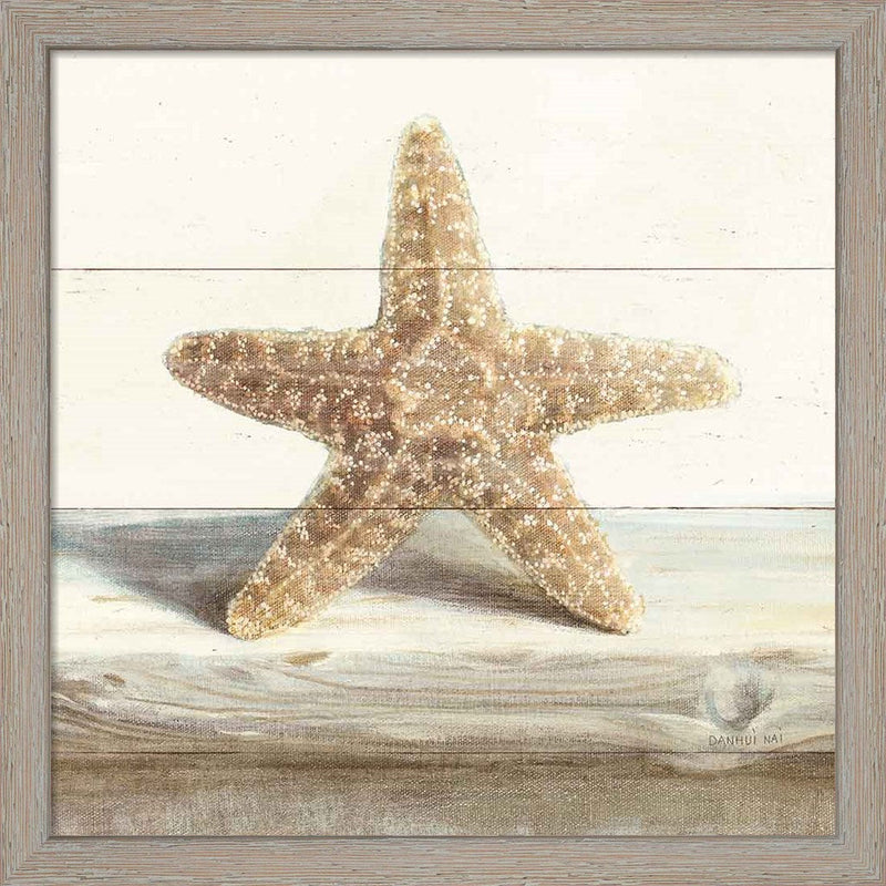 Driftwood Shell III by Danhui Nai, Framed Art