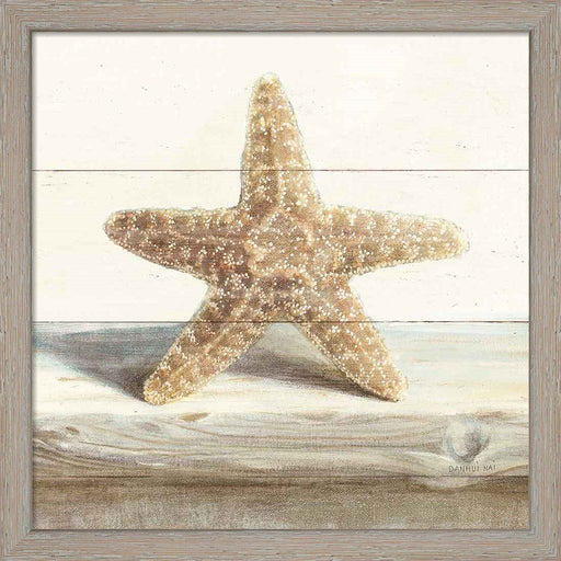 Driftwood Shell III by Danhui Nai, Framed Art