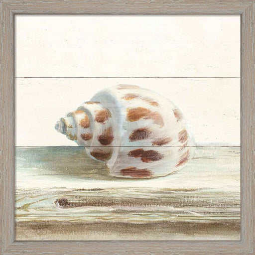Driftwood Shell II by Danhui Nai, Framed Art