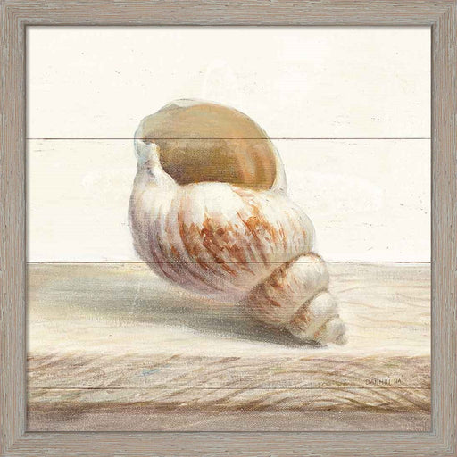 Driftwood Shell I by Danhui Nai, Framed Art