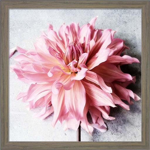 Freshly Picked from the Garden by Sarah Jane, Framed Art