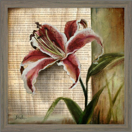 Vintage Studio I by Patricia Pinto, Framed Art