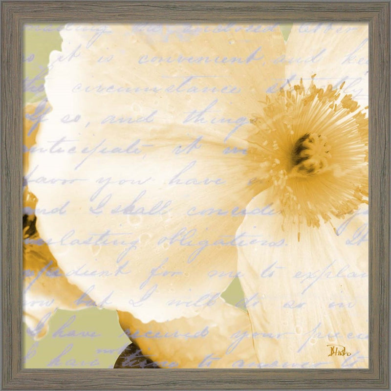 Written In The Wind II by Patricia Pinto, Framed Art