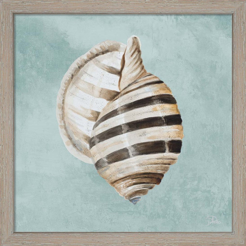 Modern Shell on Teal I by Patricia Pinto, Framed Art