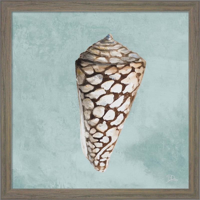Modern Shell on Teal II by Patricia Pinto, Framed Art