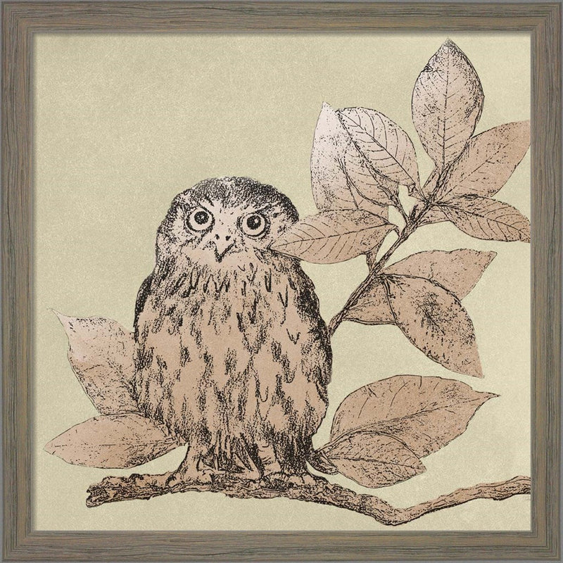 Neutral Little Owls I by Patricia Pinto, Framed Art