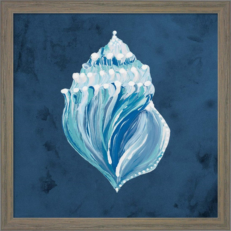 Azul Dotted Seashell on Navy II by Gina Ritter, Framed Art