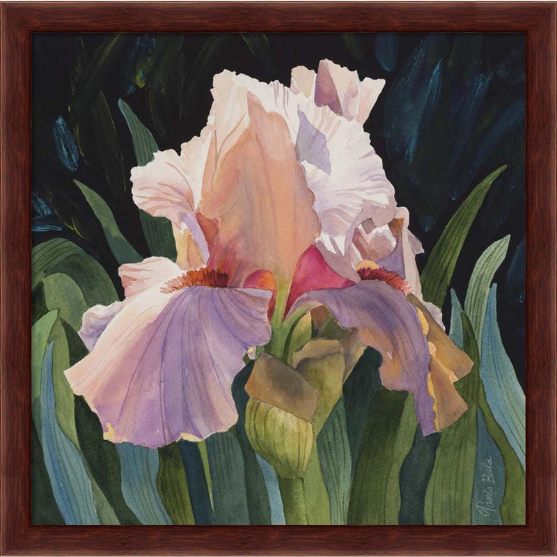 Pink Iris by Tanis Bula, Framed Art