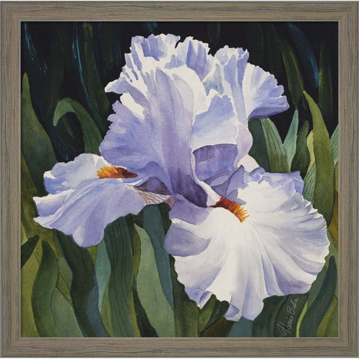 White Iris by Tanis Bula, Framed Art