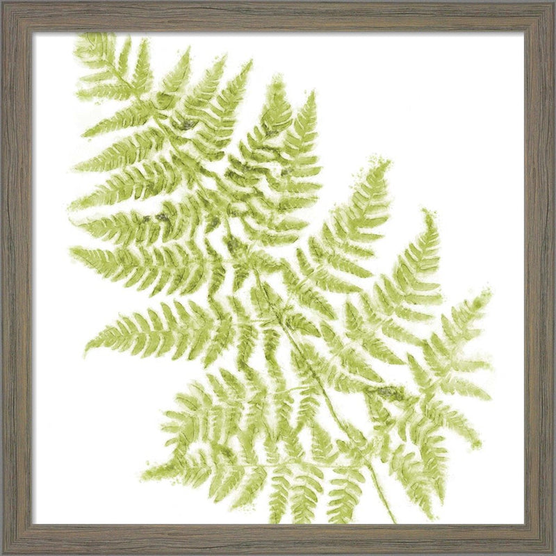 Fresh by Tina Lavoie, Framed Art