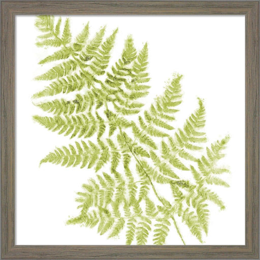 Fresh by Tina Lavoie, Framed Art