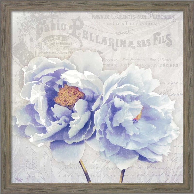 Bonjour Belle by Tina Lavoie, Framed Art