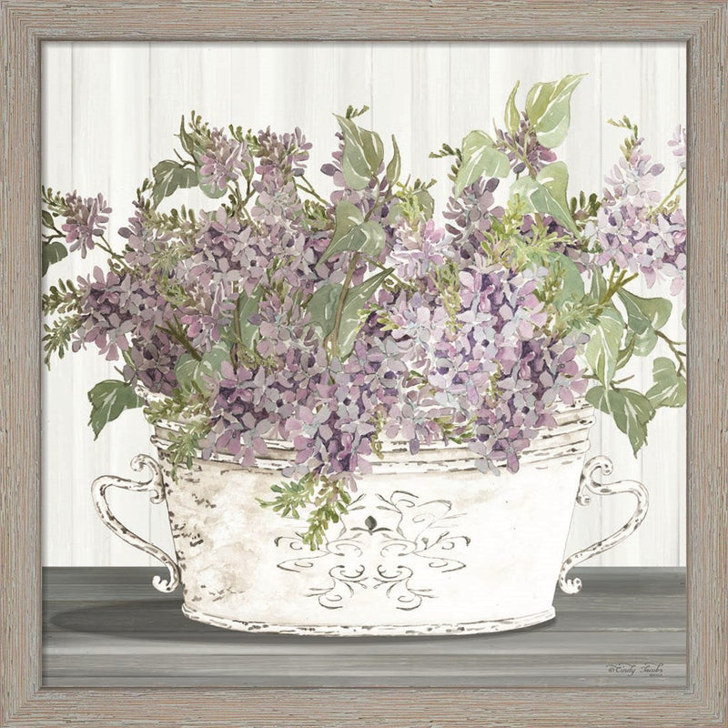 Lilac Galvanized Pot by Cindy Jacobs, Framed Art