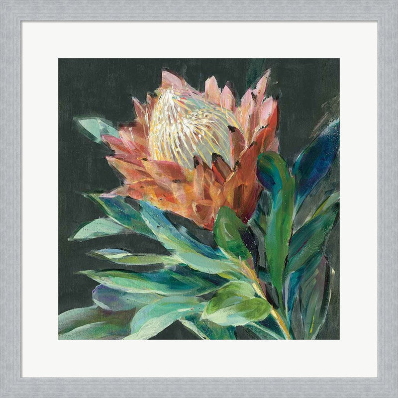 Deep Protea Crop by Danhui Nai, Framed Art