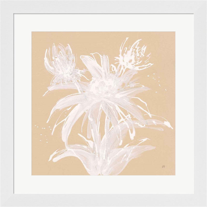 Echinacea III by Chris Paschke, Framed Art