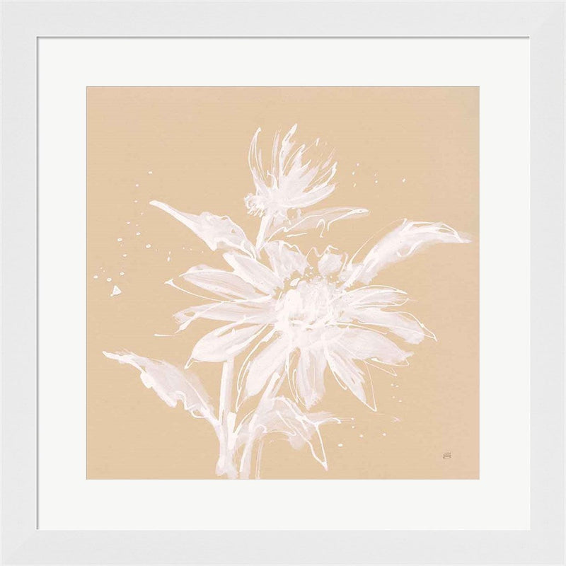 Echinacea II by Chris Paschke, Framed Art