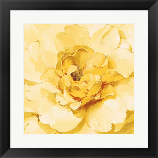 Yellow Peony by Danhui Nai, Framed Art