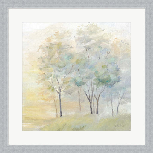 Sunny Glow II by Cynthia Coulter, Framed Art