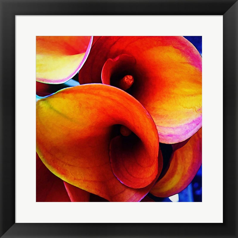 Happy Accident by Jessica Manelis, Framed Art