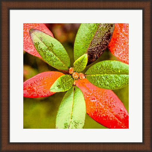 Tis the Season by Jessica Manelis, Framed Art