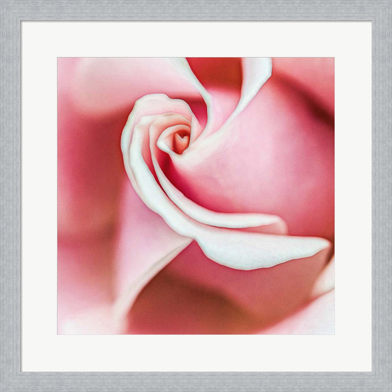Wholly Joyous by Jessica Manelis, Framed Art