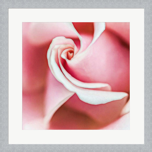 Wholly Joyous by Jessica Manelis, Framed Art