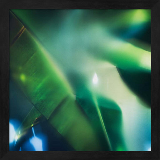 Evergreen No. 1 by Sven Pfrommer, Framed Art