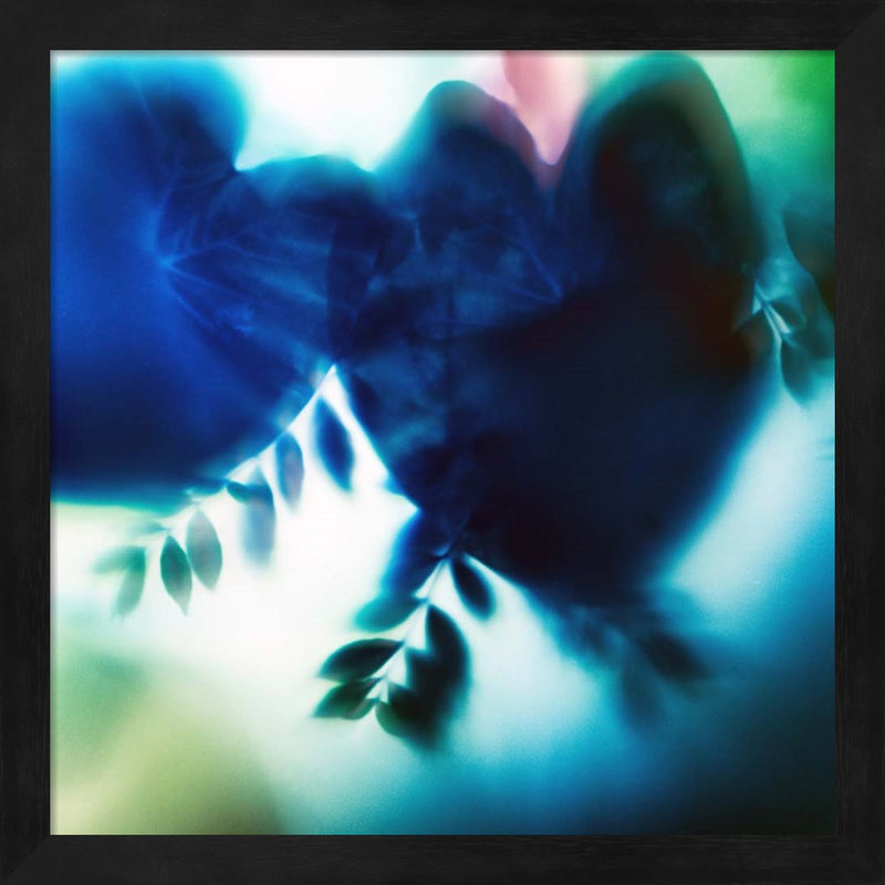 Evergreen No. 2 by Sven Pfrommer, Framed Art