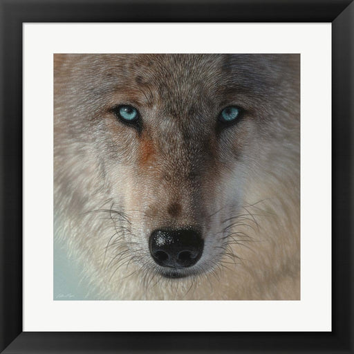 Inner Wolf by Collin Bogle, Framed Art