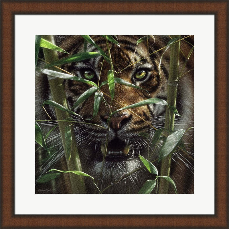 Hungry Eyes by Collin Bogle, Framed Art