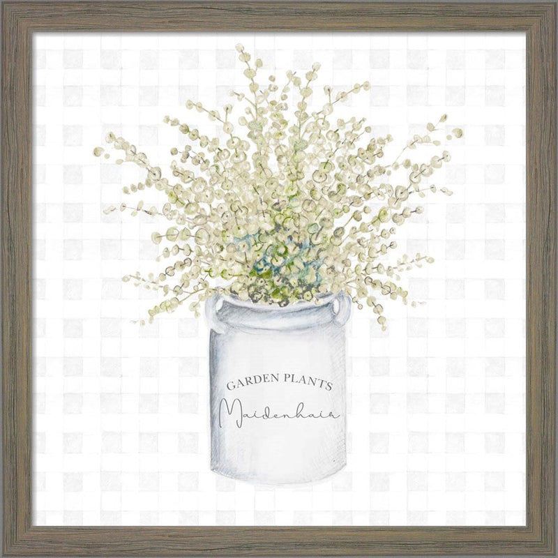 Garden Plants II by Janice Gaynor, Framed Art