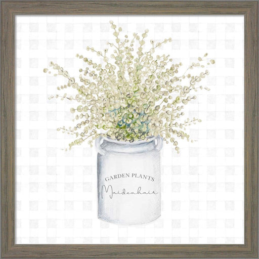 Garden Plants II by Janice Gaynor, Framed Art