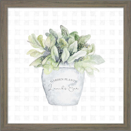 Garden Plants III by Janice Gaynor, Framed Art