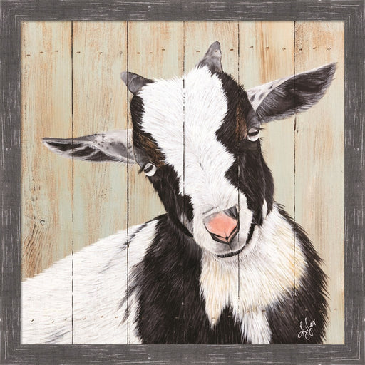 Want to Play? by Diane Fifer, Framed Art