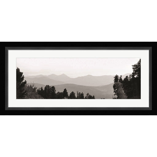 Arapaho National Forest by Lori Deiter, Framed Art