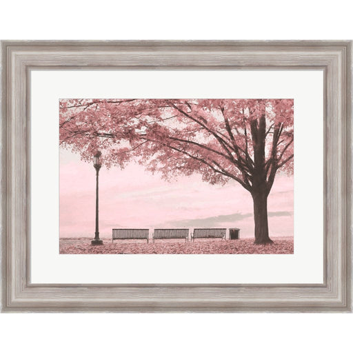 Moody Pink Day in the Park by Lori Deiter, Framed Art