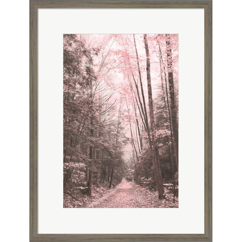Pink Forest by Lori Deiter, Framed Art