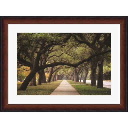 Alley of Live Oaks by Martin Podt, Framed Art