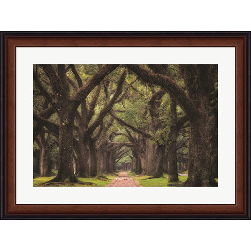 Lane of Oaks by Martin Podt, Framed Art