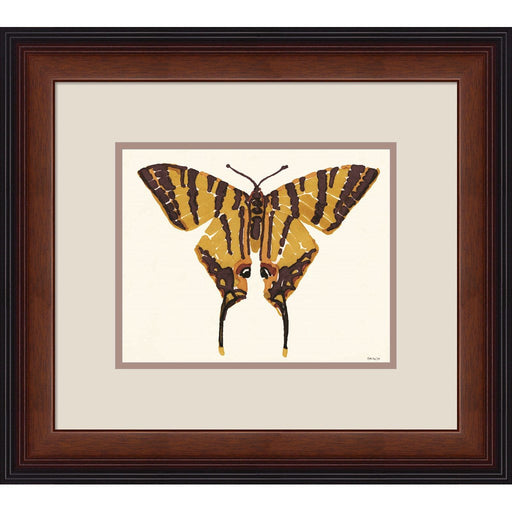 Papillon 2 by Stellar Design Studio, Framed Art