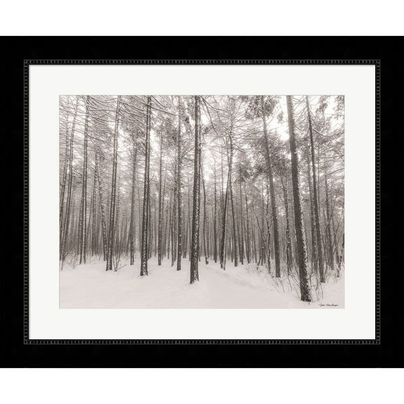 Let It Snow Forest by Seven Trees Design, Framed Art