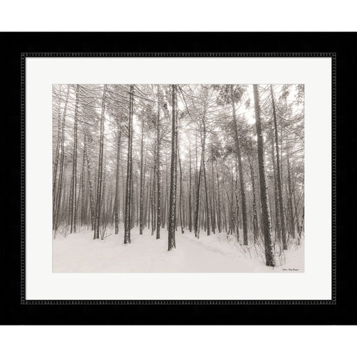 Let It Snow Forest by Seven Trees Design, Framed Art