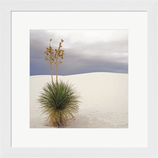 Botanic Dunes by Seven Trees Design, Framed Art