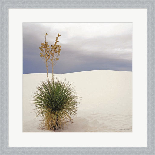 Botanic Dunes by Seven Trees Design, Framed Art