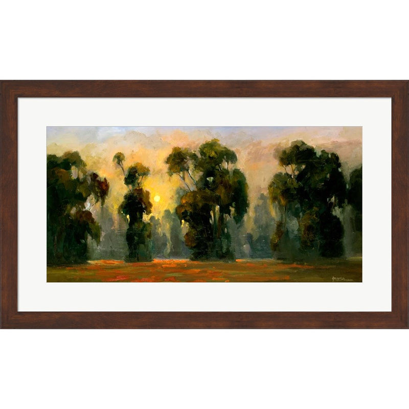Sun Glint by Allayn Stevens, Framed Art